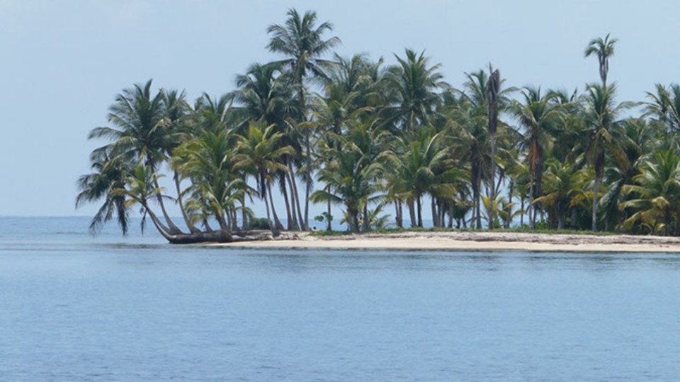 Palminsel